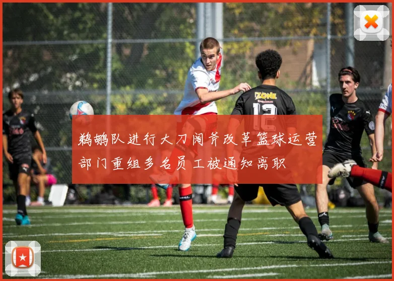 鹈鹕队进行大刀阔斧改革篮球运营部门重组多名员工被通知离职